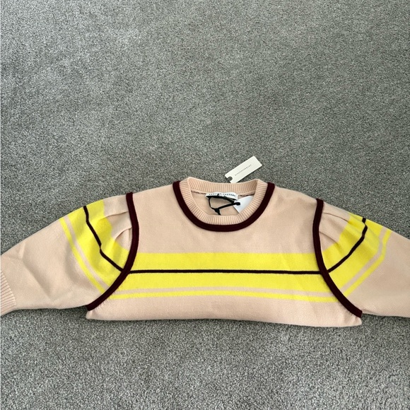 NWT English Factory Anthropologie Sweater Top Size L Ruffle Sleeve Stripe - Picture 3 of 5